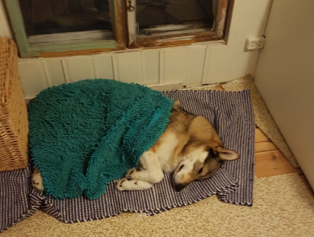 Kylig kväll i Fula lilla stugan